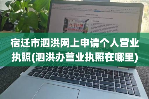 宿迁市泗洪网上申请个人营业执照(泗洪办营业执照在哪里)