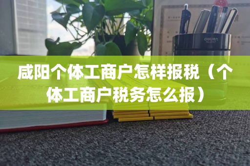 咸阳个体工商户怎样报税（个体工商户税务怎么报）