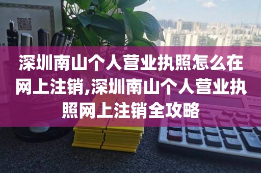 深圳南山个人营业执照怎么在网上注销,深圳南山个人营业执照网上注销全攻略