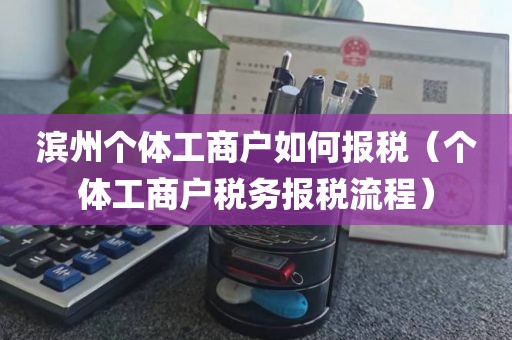 滨州个体工商户如何报税（个体工商户税务报税流程）