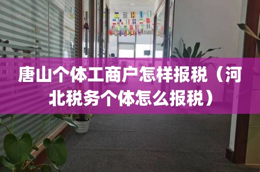 唐山个体工商户怎样报税（河北税务个体怎么报税）