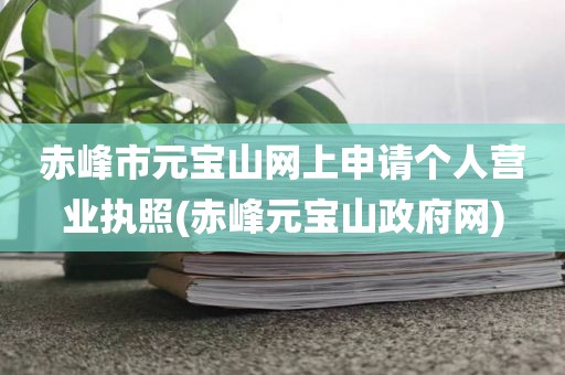 赤峰市元宝山网上申请个人营业执照(赤峰元宝山政府网)