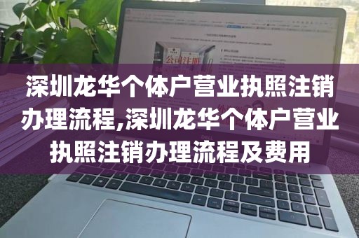 深圳龙华个体户营业执照注销办理流程,深圳龙华个体户营业执照注销办理流程及费用