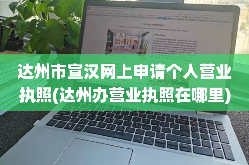 达州市宣汉网上申请个人营业执照(达州办营业执照在哪里)