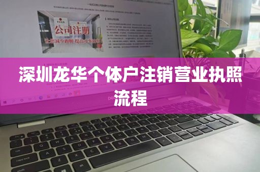 深圳龙华个体户注销营业执照流程