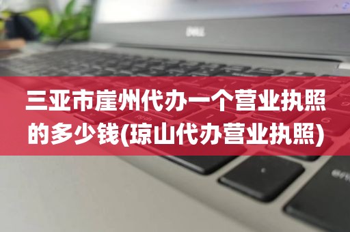三亚市崖州代办一个营业执照的多少钱(琼山代办营业执照)
