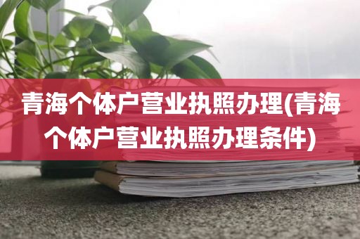 青海个体户营业执照办理(青海个体户营业执照办理条件)