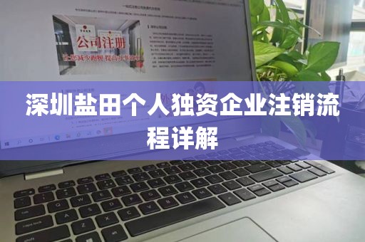 深圳盐田个人独资企业注销流程详解