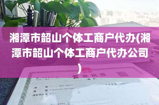 湘潭市韶山个体工商户代办(湘潭市韶山个体工商户代办公司)