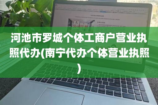 河池市罗城个体工商户营业执照代办(南宁代办个体营业执照)