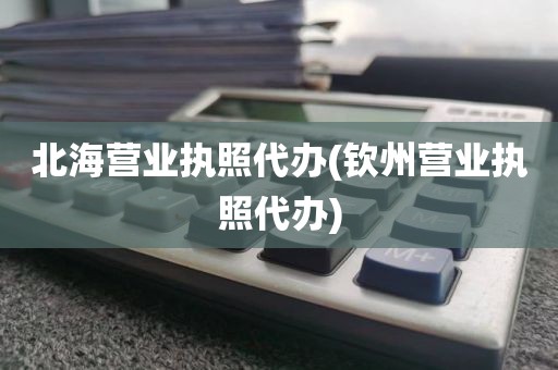 北海营业执照代办(钦州营业执照代办)
