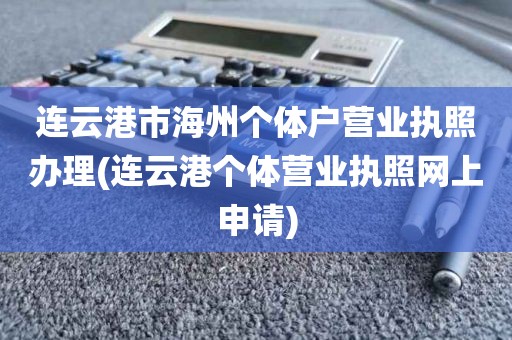 连云港市海州个体户营业执照办理(连云港个体营业执照网上申请)