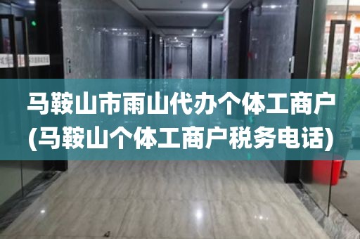 马鞍山市雨山代办个体工商户(马鞍山个体工商户税务电话)