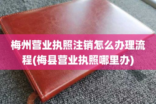梅州营业执照注销怎么办理流程(梅县营业执照哪里办)