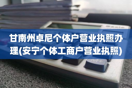 甘南州卓尼个体户营业执照办理(安宁个体工商户营业执照)