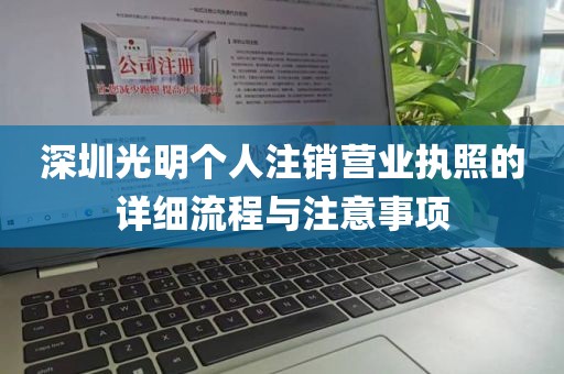 深圳光明个人注销营业执照的详细流程与注意事项