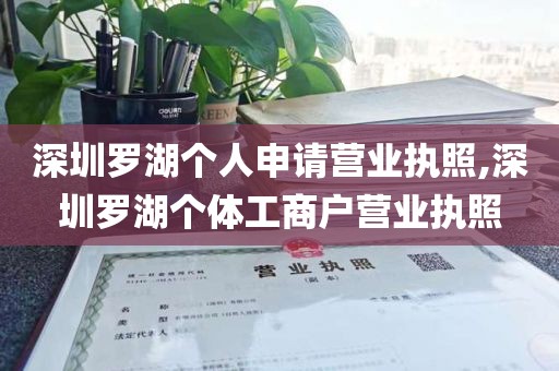 深圳罗湖个人申请营业执照,深圳罗湖个体工商户营业执照