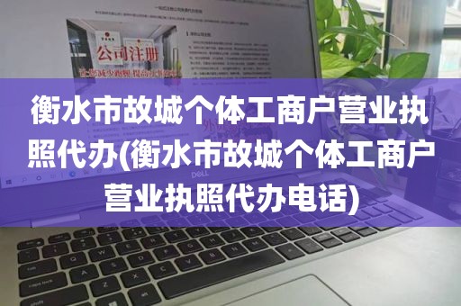 衡水市故城个体工商户营业执照代办(衡水市故城个体工商户营业执照代办电话)
