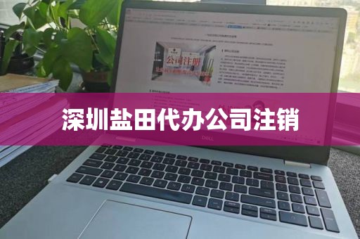 深圳盐田代办公司注销