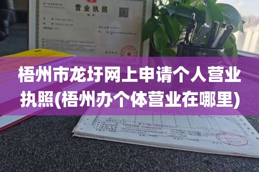 梧州市龙圩网上申请个人营业执照(梧州办个体营业在哪里)