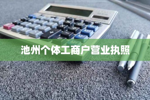 池州个体工商户营业执照