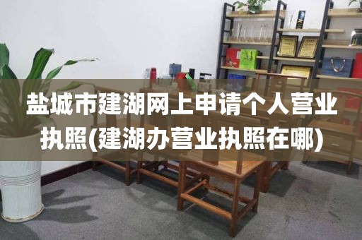 盐城市建湖网上申请个人营业执照(建湖办营业执照在哪)
