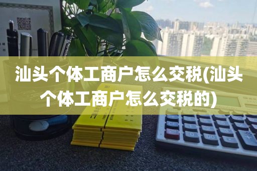 汕头个体工商户怎么交税(汕头个体工商户怎么交税的)