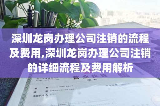 深圳龙岗办理公司注销的流程及费用,深圳龙岗办理公司注销的详细流程及费用解析