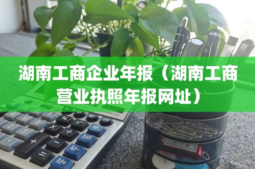 湖南工商企业年报（湖南工商营业执照年报网址）