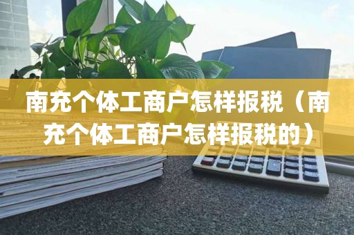 南充个体工商户怎样报税（南充个体工商户怎样报税的）