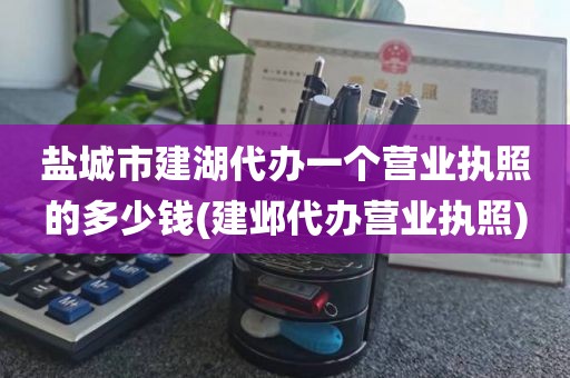盐城市建湖代办一个营业执照的多少钱(建邺代办营业执照)
