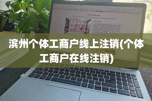滨州个体工商户线上注销(个体工商户在线注销)