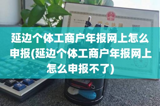 延边个体工商户年报网上怎么申报(延边个体工商户年报网上怎么申报不了)