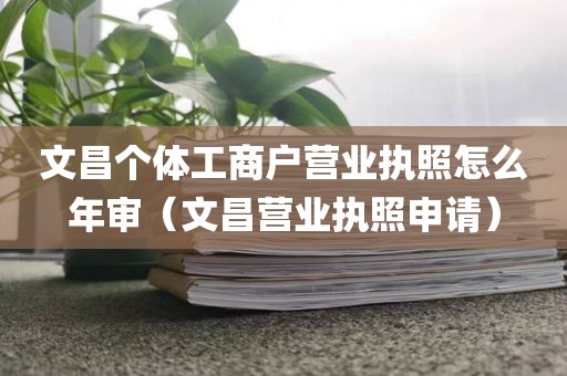 文昌个体工商户营业执照怎么年审（文昌营业执照申请）