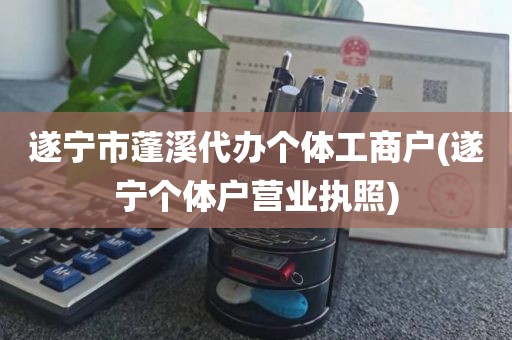 遂宁市蓬溪代办个体工商户(遂宁个体户营业执照)