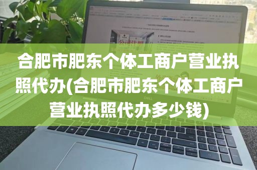 合肥市肥东个体工商户营业执照代办(合肥市肥东个体工商户营业执照代办多少钱)