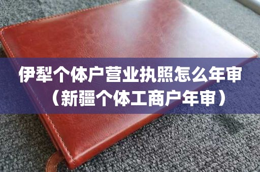 伊犁个体户营业执照怎么年审（新疆个体工商户年审）
