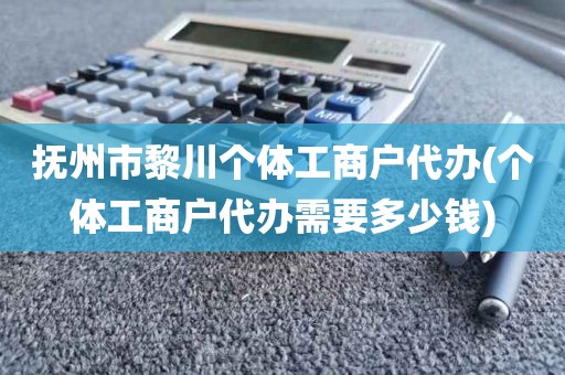 抚州市黎川个体工商户代办(个体工商户代办需要多少钱)