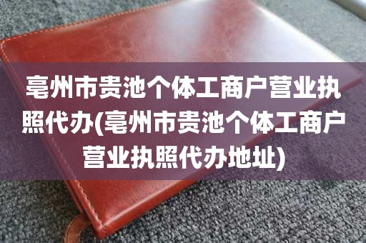 亳州市贵池个体工商户营业执照代办(亳州市贵池个体工商户营业执照代办地址)