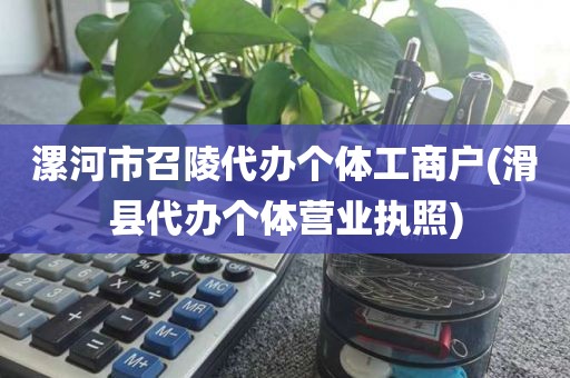 漯河市召陵代办个体工商户(滑县代办个体营业执照)