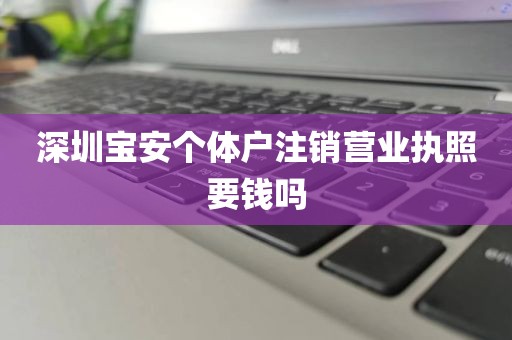 深圳宝安个体户注销营业执照要钱吗
